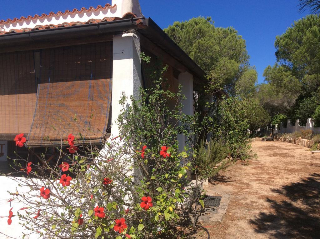 Chia Aloe & Cactus Βίλα Εξωτερικό φωτογραφία
